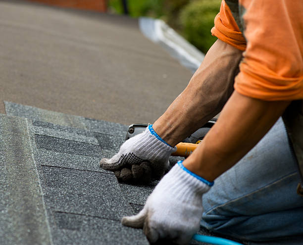 Best Roof Gutter Cleaning  in Fort Campbell North, KY